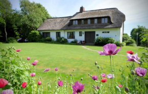 Ferienhaus Ebbe und Flut, Terrassen-Whg